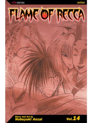 cover image of Flame of Recca, Volume 14